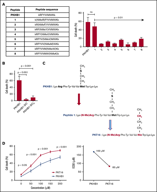 Generation of PKT16, a N-methylated TSP-1 mimetic peptide with improved efficiency in inducing PCD in the malignant CLL B cells. (A, left) Table enclosing the sequence of peptides generated by replacing the amino acids of the PKHB1 sequence with its N-methyl derivatives. (Right) After accounting for spontaneous PCD, cell viability was measured by Annexin-V/PI colabeling in the OSU-CLL cell line treated with the PKHB1-derived peptides described in the table (200 µM, 6 hours). The percentages, expressed as a histogram, refer to the Annexin-V-positive cells and are presented at mean ± standard deviation (SD). (B) The OSU-CLL cells were preincubated with PKHB1 or the derivatives PKHB1-SO and PKHB1-SO2, and cell viability was assessed by flow cytometry by Annexin-V/PI costaining. After accounting for spontaneous PCD, the percentages of Annexin-V-positive cells were graphed as a mean ± SD. (C) Primary structure of PKHB1, peptide 1, and PKT16. Compared with PKHB1, Arg2 and Met7 of PKHB1 were respectively replaced by N-methyl Arg (N-MeArg) and Nor-Leucine (NLe) (highlighted in red). (D, left) Cytotoxicity, measured by Annexin-V/PI colabeling in a panel of CLL B lymphocytes treated over the course of 6 hours with PKHB1 (n = 29) or the optimized peptide PKT16 (n = 42) at the indicated concentrations. The data, referring to Annexin-V positivity, are presented at mean ± standard error of the mean (SEM). (Right) The EC50 was calculated with the GraphPad Prism software by a nonlinear regression curve. Statistical significance was calculated by the Student t test. ns, not significant.