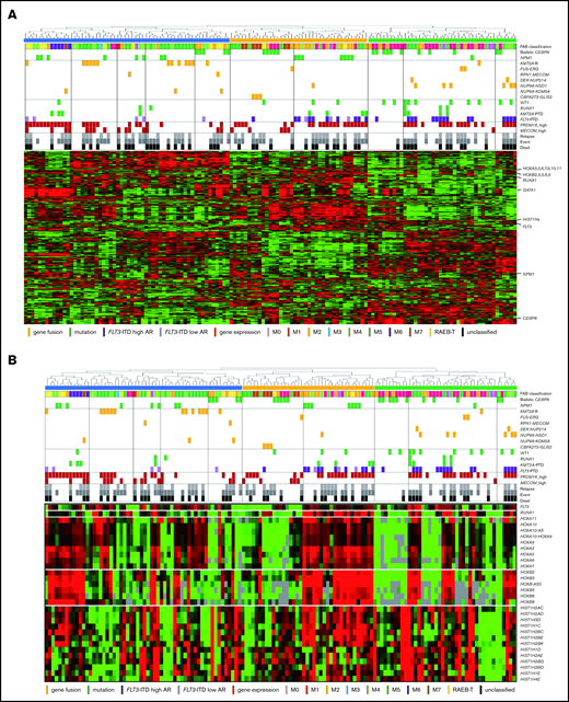 Unsupervised hierarchical clustering analysis of the 139 patients with pediatric AML. (A) Two-dimensional hierarchical clustering analysis of the 139 patients was performed using 3106 probe sets that were differentially expressed in 139 patients. (B) We showed the detail of gene expression pattern focused on the FLT3, RUNX1, HOXAs, HOXBs, and HIST1s in 139 patients. Each column represents a patient and each row represents a probe set. FAB classification, biallelic CEBPA, NPM1, WT1, RUNX1, KMT2A-PTD, KMT2A rearrangements, adverse gene fusions, PRDM16 and MECOM gene expression status, and outcome of each patient are indicated. Relative expression levels normalized to the average for each probe set are indicated by color, where red and green represent high and low expression, respectively. (C) Messenger RNA expression levels of FLT3, RUNX1, PRDM16, HOXA7, HOXB3, HOXB6, HIST1H2BD, and HIST1H1C in 139 AML patients. KMT2A-R, KMT2A rearrangement.