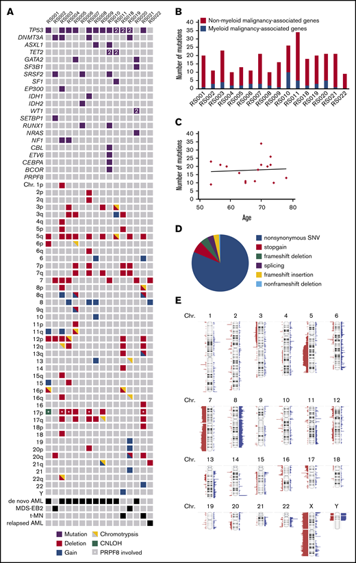 Genetic defects detected by WES and SNP-array analysis. (A) Overview; for each patient, all mutations in genes known to be recurrently mutated in myeloid malignancies detected by WES are depicted as well as cytogenetic abnormalities detected by SNP array analysis. 2 = 2 mutations were detected. (B) Number of acquired mutations per patient as determined by WES. In black is the number of mutations in genes that have been previously implicated in pathogenesis of myeloid malignancies; in gray is the number of mutations in genes that have not been previously implicated in myeloid malignancies. (C) Correlation between age and the number of mutations. (D) Distribution of the various types of alterations detected in the total set of patients with RS phenotype. (E) SNP array results overview; figure was created using Nexus software. Red, loss; blue, gain.
