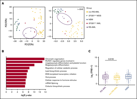 RS-AML transcription program. (A) PCA and t-SNE plots using RNA-seq results of the indicated cell types. Previously published RNA-seq was included for the following cell types: NBM (GSE63569), non-RS-AML (Blueprint study), SF3B1mut MDS (GSE63569) and SF3B1mut AML (combination of TCGA data set, Blueprint study and own data). (B) Biological process enrichment for genes upregulated (1464) in RS-AML as compared with non-RS-AML. (C) MEP signature comparison among RS-AML, non-RS-AML, and NBM.