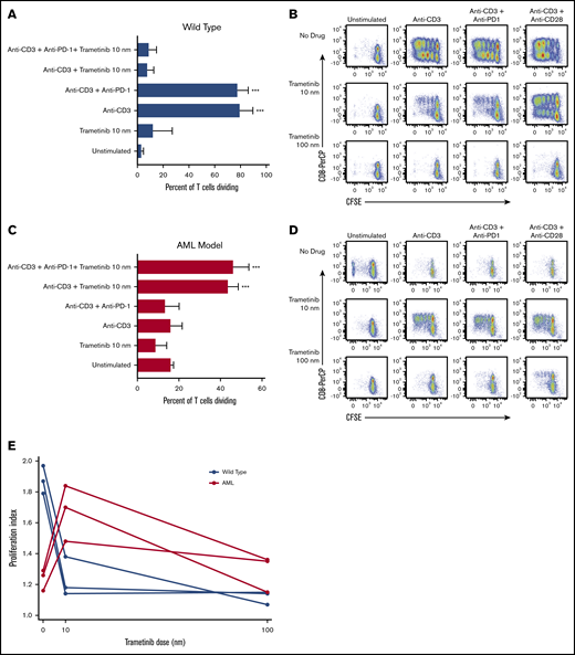 Differential murine T-cell proliferation response to treatment with trametinib in vitro. CFSE-stained splenocytes from wild-type and AML mice were treated in vitro with anti-CD3, trametinib, and/or anti–PD-1 and incubated for 3 days. (A,C) Mean ± standard deviation (SD) percentage of dividing T cells for wild-type and AML mice from 3 independent experiments. (B,D) Representative flow cytometry plots of T-cell division according to treatment condition gated on live CD3+ cells from 1 of 3 independent experiments for both wild-type and AML mice. (E) Proliferation index for T cells from wild-type and AML mice stimulated with anti-CD3 and treated with trametinib 0, 10, or 100 nM. (A,C) Displaying Tukey pairwise comparisons for unstimulated vs all other treatment conditions; statistically significant results displayed as: ***P < .001.