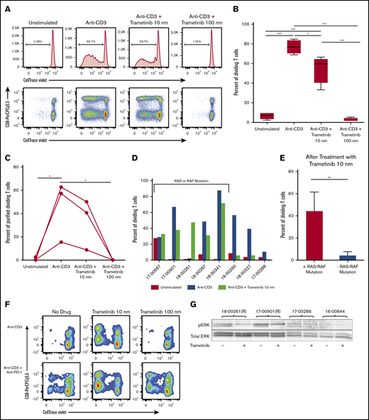 AML patient and healthy donor T-cell proliferation response to treatment with trametinib in vitro differs. Mononuclear cells isolated from peripheral blood or bone marrow samples from patients or healthy donors were stained with CellTrace Violet and treated in vitro with anti-CD3 and/or trametinib followed by a 5-day incubation period. (A) Representative flow cytometry plots of proliferation from a healthy donor gated on live CD3+ cells with and without treatment with trametinib. (B) Summary of the percentage of dividing T cells for healthy donors (n = 4) plated with mononuclear cells after treatment with trametinib. (C) Summary of the percentage of purified healthy donor (n = 3) T cells after treatment with trametinib. (D) Report of the percentage of dividing T cells from primary patient samples (n = 8) after stimulation and treatment with trametinib grouped according to presence or absence of an identified RAS or RAF mutation. (E) Mean ± SD percentage of dividing T cells after stimulation with anti-CD3 and treatment with trametinib 10 nM separated by the presence of either an RAS or RAF mutation or the absence of both. (F) T-cell proliferation of a patient sample after anti-CD3 stimulation and treatment with anti–PD-1 and/or trametinib 10 or 100 nM. (G) Western blot analysis of p-ERK and total ERK from viably frozen AML patient samples with and without an RAS (R) mutation. (B-C) Displaying Tukey pairwise comparisons between treatment conditions. (E) Two-sided Student t test with unequal variances. (B-C,E) Statistically significant results displayed as: *P < .05; **P < .01; ***P < .001.