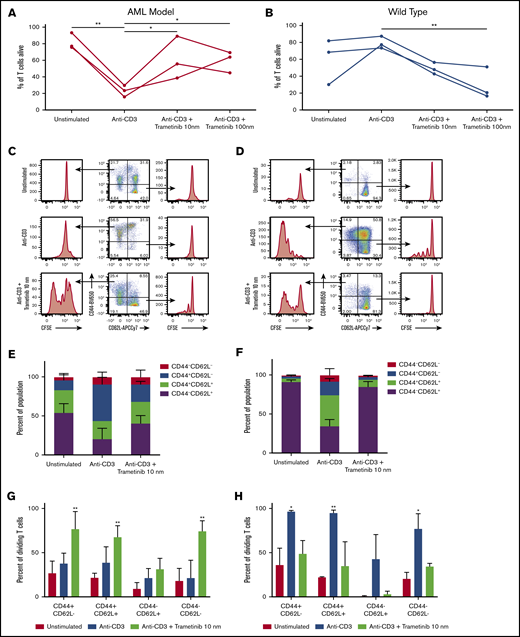 Trametinib impact on in vitro naive and effector T-cell viability and proliferation response. CFSE-labeled CD3+ cells from wild-type and AML mice after a 3-day in vitro proliferation assay. (A-B) Summary of the percentage of Zombie Aqua negative, or alive, CD3+ cells from AML (n = 3) and wild-type (n = 3) mice from 3 independent experiments. (C-D) Representative flow cytometry plots gated on CD3+CD8+ cells showing proliferation for subpopulations divided by CD44 or CD62L expression for cells from an AML mouse and a wild-type mouse treated in vitro with no stimulation, anti-CD3 stimulation, or anti-CD3 stimulation plus trametinib 10 nM. (E-F) Mean ± SD population percentages for expression of CD44 and/or CD62L for CD3+CD8+ cells from AML mice (n = 3) or wild-type mice (n = 3). (G-H) Mean ± SD percentage of dividing CD3+CD8+ T cells from AML (n = 3) and wild-type mice (n = 3) divided by expression of CD44 and/or CD62L and treatment condition. Displaying Tukey pairwise comparisons between treatment conditions (A-B), Tukey pairwise comparison for unstimulated vs all other treatment conditions (G-H). (A-B,G-H) Statistically significant results displayed as: *P < .05; **P < .01.