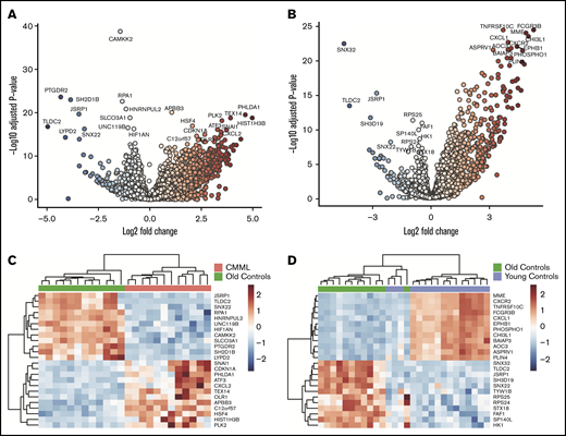Identification of differentially expressed genes in CD14+cells from CMML patients and old and young controls. Highly purified CD14+ monocytes were subjected to RNA sequencing. (A) Differentially expressed genes in CMML CD14+ monocytes compared with old healthy controls were graphed according to fold change and FDR-adjusted P value (volcano plot). (B) Differentially expressed genes in CD14+ monocytes of healthy young controls compared with healthy old controls were graphed according to fold change and FDR-adjusted P value (volcano plot). (C) Heat map depicting the top 12 most significantly upregulated genes and the top 12 most significantly downregulated genes in the CMML vs old controls comparison clustered by rlog values. (D) Heat map depicting the top 12 most significantly upregulated genes and the top 12 most significantly downregulated genes in the young controls vs old controls comparison clustered by rlog values.