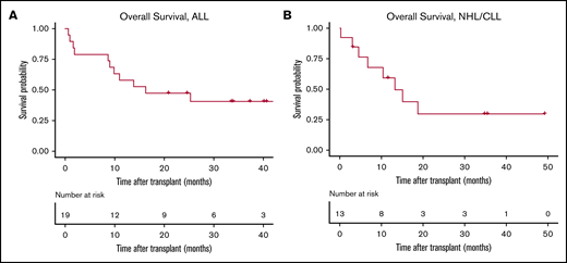 OS curves. Patients who received an allo-HCT after CAR-T therapy for a diagnosis of ALL (A) or NHL/CLL (B).