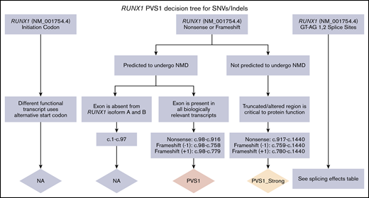 PVS1 decision tree for SNVs/indels. Application of different levels of strength for PVS1 depending on the prediction of nonsense-mediated decay (NMD), the location within a known critical protein domain, and the expression of alternative isoforms. The splicing effects table is given in supplemental Data.