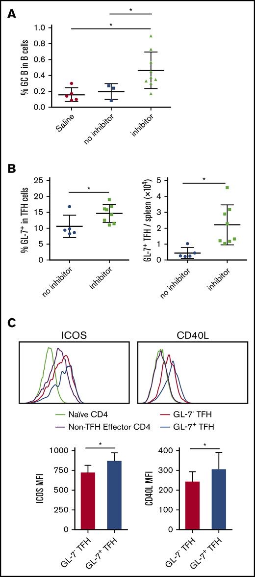 FVII inhibitor-producing mice have increased GC formation and increased GC TFH cells in response to F8 immunization. FVIIInull mice were given 5 weekly IV FVIII injections. Five days after the last immunization, inhibitor titers were measured by Bethesda assay. Representative animals with inhibitors and no inhibitors were euthanized for splenocyte analysis. Splenocytes were stained for CD3, CD4, CD19, CD44, CD62L, B220, Foxp3, CXCR5, PD-1, Fas, GL-7, ICOS, and CD40L and analyzed by flow cytometry. (A) Percentage of B220+ B cells bearing a GC phenotype (Fas+ GL-7+) in saline-injected control mice, non–inhibitor-producing mice and inhibitor-producing mice. (B) Percentage and total number of activated TFH cells expressing GL-7 in in spleen. (C) Representative histograms and quantification (n = 6 per group) of expression of ICOS and CD40L on naive, CXCR5−PD-1− effector, GL-7− TFH, and GL-7+ TFH cells. *P < .05. MFI, mean fluorescence intensity.