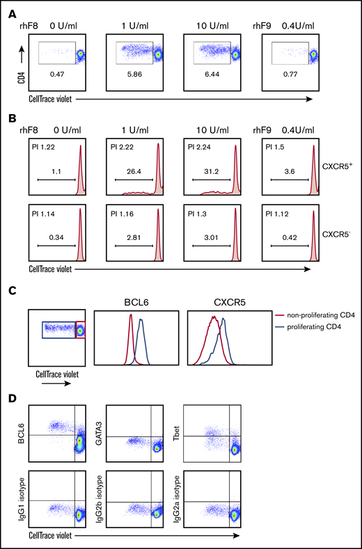 FVIII-specific proliferating CD4 T cells have a TFH phenotype. Splenocytes from rhF8-immunized FVIIInull mice were labeled with CellTrace Violet and stimulated with rhF8 for 96 hours. Nonstimulated or unrelated protein rhF9-stimulated splenocytes were used as controls in parallel. Cells were stained for mouse CD3, CD4, CXCR5, BCL6, GATA3, and Tbet. Proliferating daughter cells were analyzed by flow cytometry. (A) CD4+ T-cell proliferation is depicted. Representative plots from 4 experiments are shown. (B) CXCR5+ and CXCR5− T-cell proliferation is depicted. Representative plots from 4 experiments are shown. (C) BCL6 and CXCR5 expression levels on proliferating CD4 T cells (blue line) induced by ex vivo FVIII stimulation were compared with nonproliferating CD4 T cells (red line). (D) Transcription factor BCL6, GATA3, and Tbet expression on FVIII-induced proliferating CD4 T cells (top row). Corresponding isotype control antibody staining was used to define gating (bottom row). PI, proliferation index.
