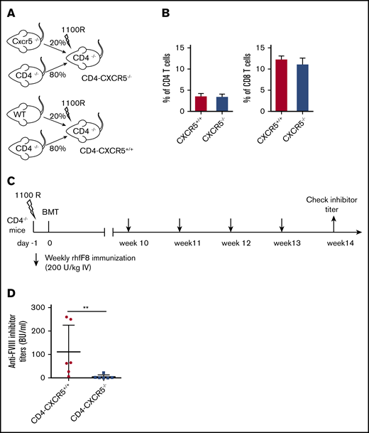 CD4 T-cell–specific CXCR5 deficiency impairs anti-FVIII inhibitor induction. (A) Schematic diagram for generating mixed BM chimeras. Mixed BM chimera in irradiated CD4−/− mice reconstituted with 80% BM from CD4−/− mice plus 20% from WT mice or 80% from CD4−/− mice plus 20% from CXCR5−/− mice. (B) Flow cytometry analysis of CD4 and CD8 T-cell reconstitution in blood at 10 weeks after BM transplantation. Mixed-BM chimeric mice were immunized with rhF8, as shown in the experimental schematic in panel C. (D) One week after the fourth injection with rhF8, plasma samples were collected for a Bethesda assay to determine the FVIII inhibitor titers. The data shown are for 6 mice per group. **P < .01.