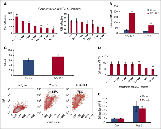 BCL2L1 regulates HBG gene expression and F-cell production in HUDEP-1 cells. HUDEP-1 cells were treated with the selective BCL-XL inhibitor at the indicated concentrations for 24 hours and then switched to differentiation medium, without added inhibitors, for 3 days. Cells were harvested for HBG mRNA analysis by qRT-PCR and examined for proliferation at the end point of these studies. (A) Effects of BCL-XL inhibitor on HBG and HBB expression. BCL-XL inhibitor suppressed HBG expression in a dose-dependent manner; mRNA was normalized to β-actin (n = 3) (left panel). BCL-XL inhibitor on HBB expression; mRNA was normalized to β-actin (n = 3) (right panel). (B) BCL2L1 ectopic expression upregulated HBG gene expression (n = 3). (C) BCL2L1 ectopic expression increased F-cell production (n = 3; upper panel). Representative flow cytometric analysis of F cells (lower panels). Effect of BCL-XL inhibitor (D) and BCL2L1 ectopic expression (E) on HUDEP-1 cell proliferation (n = 3). *P < .05.