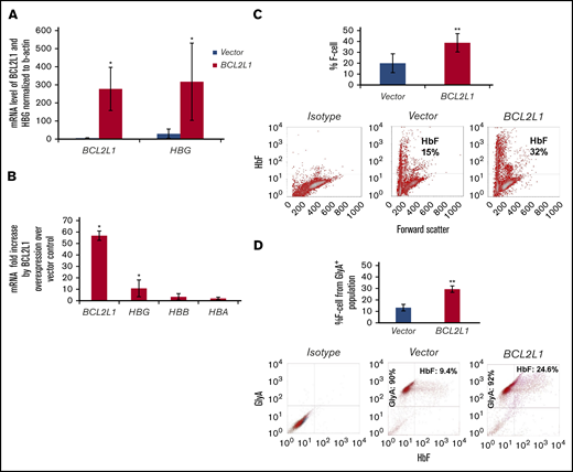 BCL2L1 regulates HBG gene expression and F-cell production in erythroid progenitors derived from adult CD34+cells. (A) BCL2L1 ectopic expression upregulated HBG gene expression. BCL2L1 and HBG mRNA were normalized to β-actin (n = 3). (B) BCL2L1 predominantly regulated HBG, with a minor effect on HBB and HBA. BCL2L1, HBG, HBB, and HBA mRNA in BCL2L1-overexpressed and vector-expressed cells was normalized to β-actin, and the fold changes in BCL2L1, HBG, HBB, and HBA mRNA are shown (n = 3). (C) BCL2L1 ectopic expression increased F-cell production (n = 3; upper panel). Representative flow cytometric analyses of F cells (lower panels). (D) BCL2L1 ectopic expression increased F-cell production from the CD235 population (n = 3; upper panel). Representative flow cytometric analyses of HbF and CD235 double staining (lower panels). *P < .05, **P < .01.