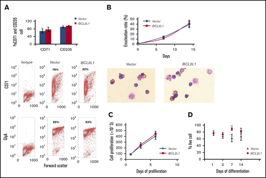 Effect of BCL2L1 overexpression on cell differentiation, proliferation, and survival. (A) Effect of BCL2L1 ectopic expression on CD71 and CD235 expression (n = 3; upper panel). Representative flow cytometric analyses of CD71 and GlyA (lower panels). (B) Effect of BCL2L1 ectopic expression on cell enucleation during differentiation (n = 3; upper panel). Representative images of Wright-Giemsa staining (lower panels, original magnification ×40). (C) Effect of BCL2L1 ectopic expression on erythroid progenitor cell proliferation. The BCL2L1- or vector only–expressing CD34+ cells were cultured in StemSpan SFEM II medium, and cell numbers were counted at days 1, 3, and 6 (n = 3). (D) Effect of BCL2L1 ectopic expression on erythroid progenitor cell survival during the differentiation. BCL2L1- or vector only–expressing CD34+ cells were cultured in differentiation medium. Cells stained with trypan blue were counted and the percentages of live cells are shown (n = 4). **P < .01.