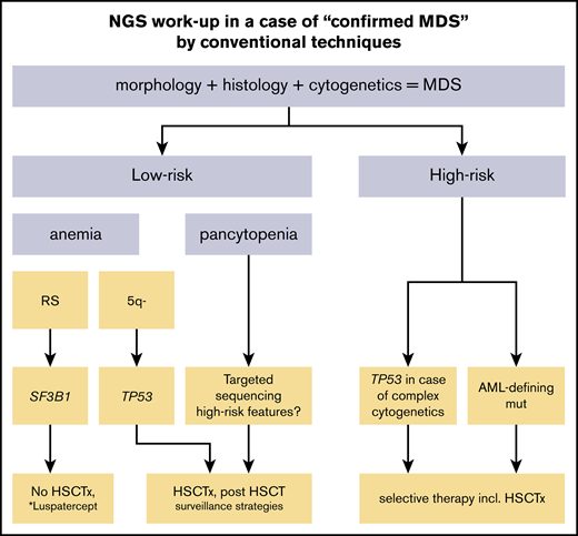 Schematic overview of the NGS workup and potential clinical consequences in case of confirmed MDS by conventional techniques. AML-defining mutations include CEBPA, NPM1, and FLT3-ITD. HSCTx, allogeneic hematopoietic stem cell transplantation (possibly with preceding chemotherapy); SF3B1, mutations in SF3B1; TP53, mutations in TP53. *Currently not approved.