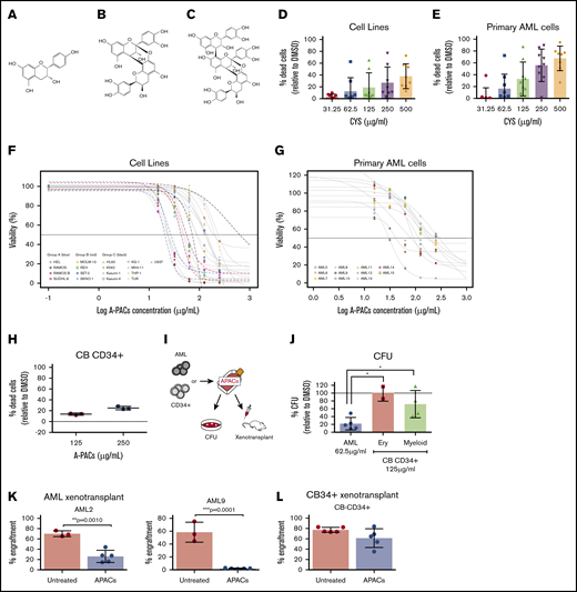 A-PACs induce cell death in leukemia cell lines and primary AML cells while sparing healthy CD34+CB cells. (A) Epicatechin. (B) A-PAC dimer. (C) A-PAC trimer. (D-E) Dose-response effects of cell lines and primary AML cells treated with CYS. (F-G) Dose-response effects of A-PACs on cell lines (group A, between blue lines: high sensitivity; group B, between red lines: intermediate sensitivity; group C, between black lines: low sensitivity) and primary AML cells. (H) Normal cord blood CD34+ cells treated with A-PACs. (I) Scheme for experimental design. (J) Colony-forming unit (CFU) for normal CD34+ CB and AML samples treated with A-PACs; erythroid (Ery), myeloid, and AML CFU percent relative to untreated. (K) Percent engraftment of primary AML cells untreated or treated with 62.5μg/mL A-PACs after 8 weeks. (L) Percent engraftment of normal CD34+ cells treated with and without 62.5 μg/mL A-PACs after 8 weeks. Data with mean ± standard error of the mean (SEM) were significant if *P < .05, **P < .01, ***P < .001 (Student t test). DMSO, dimethyl sulfoxide.