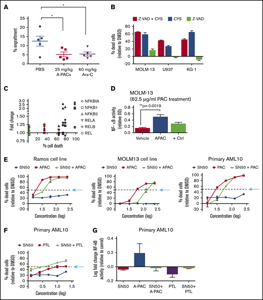 Decrease in tumor burden with A-PAC in vivo treatment and the role of NF-κB in A-PAC–induced cell death. (A) Percent engraftment of AML 9 at 6 weeks posttransplant and 3 weeks after intraperitoneal treatments (A-PACs or phosphate-buffered saline 2 times/week for 3 weeks or with 60 mg/kg Ara-C daily for 5 days). Percent leukemia burden is shown for the indicated treatments. Data represented as mean ± SEM and significant if *P < .05; *P = .0332 (1-way analysis of variance). (B) Pan-caspase inhibitor Z-VAD (20 µM) cannot rescue AML cells from A-PAC (250 μg/mL) cell death. (C) NF-κB gene family upregulation and cell death after 4 hours with A-PACs (62.5 μg/mL; 31.25 μg/mL for Ramos). Cell lines from left to right: MV4-11 (green), K562 (red), REH (brown), MOLM-13 (purple), SKNO-1 (blue), Ramos (gray). (D) NF-κB activation after 4 hours of A-PAC treatment in MOLM-13; positive control is 2.5 μg Jurkat (TPA+CI) nuclear extract. (E) A-PAC cell death after pretreatment with NF-κB inhibitor SN50 (100 µg/mL) in 2 cell lines and a primary AML sample (blue arrows indicate line for LD50); shown with log concentration (µg/mL). (F) SN50 increased the ability of parthenolide (PTL) to induce cell death in a primary AML10 cells; shown with log concentration (µM). (G) Activation of NF-κB after 4 hours of treatment with A-PACs (32.25 μg/mL) or PTL (5 μM) with and without SN50 (36 μM) in AML10 cells. Data mean ± SEM were significant if *P < .05, **P < .0 1, ***P < .001 (Student t test, with the exception of panel A). OD, optical density.