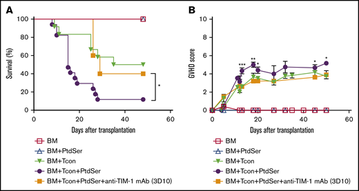 Mice treated with subcellular PtdSer exhibit worse lethal GVHD. (A-B) Overall survival (A) and GVHD score (B) of allogeneic transplanted BALB/c recipient mice after transplantation with TCD-BM and treatment with B6 Tcon cells (▼), Tcon cells plus PtdSer (40 μg per mouse given IV) (●), or Tcon cells and PtdSer plus anti–TIM-1 mAb (3D10; 400 μg per mouse given IP) (▪). Control mice that received TCD BM only are indicated (☐). For the survival curve and GVHD score, pooled data from 3 independent experiments are shown (n = 16 per group). The log-rank test was used for statistical evaluation of mouse survival (Kaplan-Meier survival curves), with comparison of Tcon cells plus PtdSer with Tcon cells shown (*P ≤ .05; 2-tailed Student t test). Error bars indicate SEM.