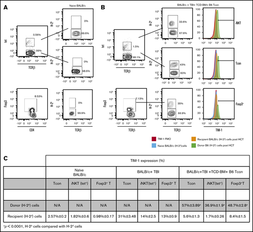 TIM-1 is upregulated on donor Tcon cells, iNKT and Foxp3+T cells after HCT. (A-B) Representative flow cytometry plots of TIM-1 staining on iNKT (top), Tcon cells (middle), and Foxp3+ T cells (bottom) isolated from the spleen on day 4 after HCT from naive BALB/c mice (A) or BALB/c mice that received TCD BM and B6 Tcon cells after TBI (B). (C) Table showing accumulative data from 3 independent experiments (n = 9/group) from naive BALB/c mice, BALB/c mice treated with TBI alone, and BALB/c mice that in addition to TBI received TCD BM and B6 Tcon cells. The distinction between donor and recipient cells on day 4 post-HCT was determined by flow cytometry based on H-2Kb and H-2Dd surface staining. For statistical analysis between the donor and recipient cells in the mice that received TBI, TCD BM, and B6 Tcon cells, a 2-tailed Student t test was used (mean ± SEM; P ≤ .0001). Gating was based on TIM-1 fluorescence-minus-one control on recipient BALB/c (H-2d) cells post-HCT. N/A, not applicable; TCR, T-cell receptor; tet, tetramer.