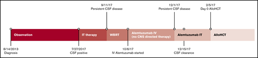 Timeline of disease management. AlloHCT, allogeneic hematopoietic stem cell transplant; WBRT, whole-brain radiation therapy.