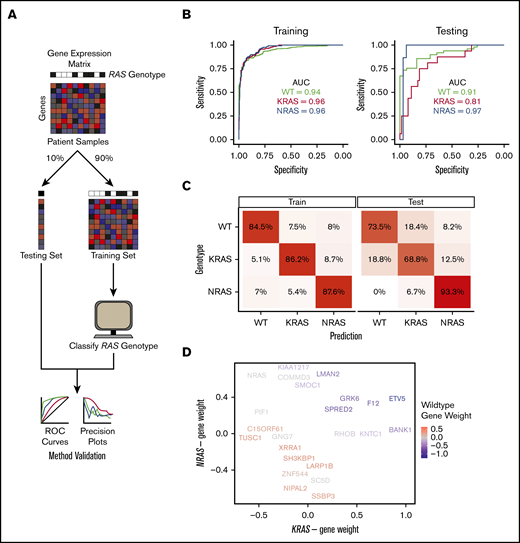 An MM-specific, transcriptome-based RAS classifier reveals genes driving the NRAS and KRAS phenotype. (A) Workflow for training and testing a gene-expression–based machine-learning algorithm to predict RAS genotype using an elastic net regression model. (B) Receiver operating characteristic curves for evaluating the performance of the predictive model on the training and testing sets. The area under the curve (AUC) is reported for each prediction class. (C) Confusion matrices showing the fraction of samples in each label-vs-predicted-class combination. (D) Multidimensional plot displaying weighted genes playing the most prominent role in predicting NRAS, KRAS, or WT RAS genotype.