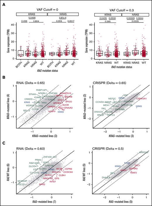 MM-mutant KRAS and NRAS are associated with differential RAS expression and are “addicted” to the mutated RAS isoform. (A) Boxplots of KRAS and NRAS expression in tumor samples from newly diagnosed MM patients in CoMMpass. The distributions are stratified by RAS mutation status and VAF to evaluate their effects on gene expression. P values from Welch’s 2-tailed t tests are reported for relevant comparisons. (B) Scatterplot of the gene dependency scores from DepMap between NRAS-mutated and KRAS-mutated MM cell lines from RNA interference (18Q2 release) or CRISPR deletion (Avana 18Q2) functional screens. Comparing between the two data sets, the related RAS gene shows consistent essentiality, but not other genes. Dashed lines represent cutoffs (Δ) for differential gene dependency between the RAS-mutated lines. (C) Similar to panel B, comparing WT RAS and RAS-mutated myeloma cell lines.