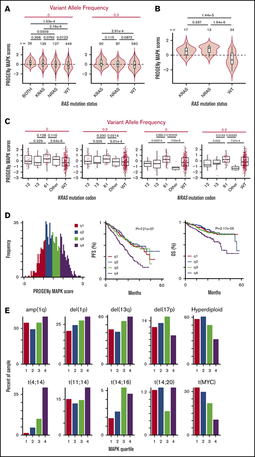 PROGENy reveals RAS mutations do not strongly increase MAPK activity in all RAS-mutant tumors, but patients with increased MAPK activity have decreased survival. (A) Violin plots showing the distribution of MAPK pathway activation for MM patient samples in CoMMpass based on PROGENy predictions reveals a surprisingly similar range of scores for WT RAS and RAS-mutated patients, though mean of distribution is significantly different. P values for all combinations using Welch’s 2-tailed t tests. (B) MM cell lines (data from www.keatslab.org) show more pronounced effects of RAS mutation driving MAPK activity than patient samples in panel A. (C) Activating mutations at the Q61 codon show the strongest effect in driving MAPK activity in NRAS mutants in CoMMpass samples, whereas KRAS mutations do not show similar codon-specific effects. P values by Welch’s 2-tailed t test. (D) Histogram of PROGENy-predicted MAPK activation colored by quartiles. Survival analyses demonstrate that high levels of MAPK activity are predictive of poorer outcomes. P values were calculated using Wald’s test. (E) Association between PROGENy-predicted MAPK scores and common genomic markers in MM.