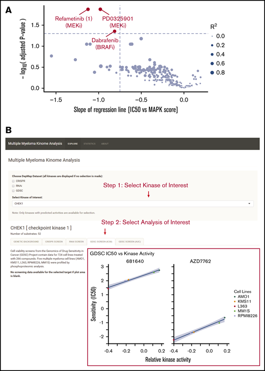 Integration of multiple data types for precision therapy in MM. (A) Volcano plot showing drug candidates for treating tumors with high predicted MAPK activity. Drug sensitivity data from Genomics of Drug Sensitivity in Cancer database (across 265 compounds tested) and MAPK scores from MM cell line transcriptome data (keatslab.org). P values are calculated based on the null hypothesis that no relationship exists between MAPK activity and inhibitor sensitivity. The 3 compounds with significant correlations between MAPK activity and drug sensitivity are highlighted in red. (B) Screenshot of the Multiple Myeloma Kinome Browser (https://tony-lin.shinyapps.io/depmap_app/). The example shows the integration of drug sensitivity data with phosphoproteome-based kinase activity predictions on MM cell lines for checkpoint kinase 1.