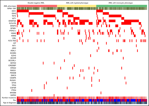 Comutations in AML with mutated NPM1. Each column represents a single patient. All identified comutations are shown. For AML phenotype, red = DN, yellow = myeloid, and green = monocytic. For age at diagnosis, NPM1 VAF, and number of mutations, darker colors correspond to higher values. For sex, blue = male and red = female.
