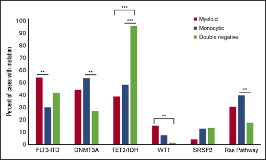 Comutations vary by blast phenotype in AML with mutated NPM1.TET2 and IDH1/2 comutations are significantly more frequent in cases with a DN blast phenotype (P < .0001 comparing all 3 groups), whereas DNMT3A mutations are significantly less common in this group (P = .002 comparing all 3 groups). RAS pathway mutations included NRAS, KRAS, CBL, and PTPN11 mutations. **P < .01, ***P < .0001.
