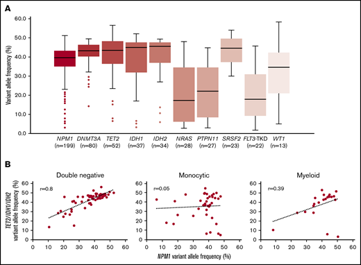 Correlation between NPM1 and comutation VAFs. (A) Box and whisker plots show VAFs at diagnosis for NPM1 and the most common comutations (n = 199). (B) Scatter plots showing the correlation between NPM1 VAF and TET2 and IDH1/2 VAFs in cases with DN (n = 61), monocytic (n = 40), and myeloid (n = 22) immunophenotypes.