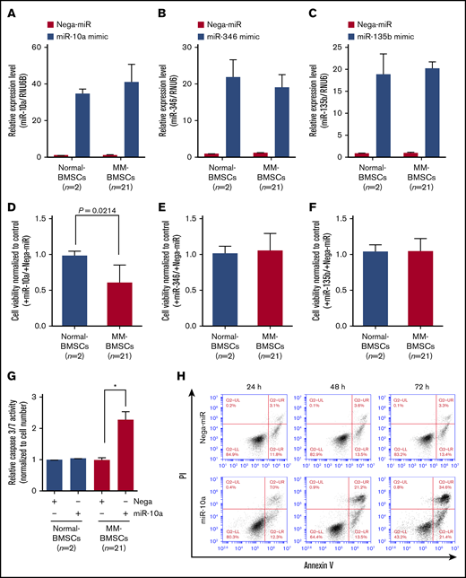 Overexpression of miR-10a inhibited cell proliferation and induced apoptosis in MM-BMSCs. Expression levels of miR-10a (A), miR-346 (B), and miR-135b (C) in BMSCs after transfection with the respective mimics, measured by using quantitative reverse transcription-polymerase chain reaction. Data represent fold increase compared with control (Nega-miR) ± standard deviation. Cell viability 72 hours after transfection with miR-10a (D), miR-346 (E), and miR-135b (F) mimics. Values represent proliferation rates normalized by control (with Nega-miR) ± standard deviation. (G) Caspase-3/7 activity in normal-BMSCs and MM-BMSCs transfected with 10 nM of miR-10a mimic for 72 hours. Data represent fold increases compared with control (with Nega-miR) ± standard deviation. *P < .01 vs control (with Nega-miR). (H) Time course of apoptosis induced by miR-10a transfection in MM-BMSCs determined by Annexin V and PI staining and flow cytometry.