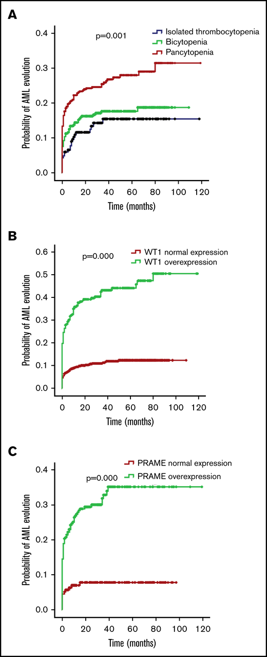 Probability of AML evolution for patients with MDS according to cytopenia lines and WT1/PRAME transcript levels. (A) Probability of AML evolution for all patients with MDS based on cytopenia lines. (B) Probability of AML evolution for patients with MDS based on WT1 transcript levels. (C) Probability of AML evolution for patients with MDS based on PRAME transcript levels.