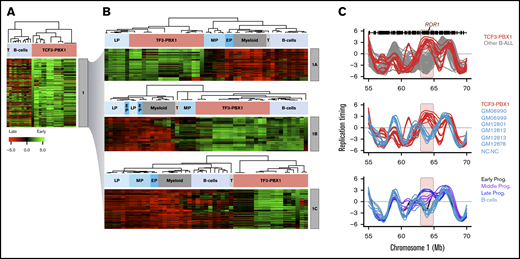 Analysis of RT abnormalities of TCF3-PBX1–positive cells. (A) Hierarchical analysis of RT signature 1 from Figure 3 that clusters TCF3-PBX1–positive cells with normal B cells. This RT signature can be subclassified in 3 RT subsignatures. (B) RT signature 1A: TCF3-PBX1–specific RT changes that track with normal pre-B cells (late B-precursors; CD34–CD19+ROR1+ cells). RT signature 1B: TCF3-PBX1–specific RT changes that track with Epstein-Barr virus immortalizedB cells. RT signature 1C: TCF3-PBX1–specific RT changes that do not track with any of the B cells and serve to substratify patient samples. (C) TCF3-PBX1–positive patient cells retain altered early replication of ROR1 from normal late B-precursors.
