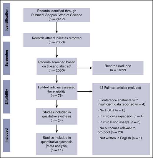 Study selection (PRISMA flow diagram).