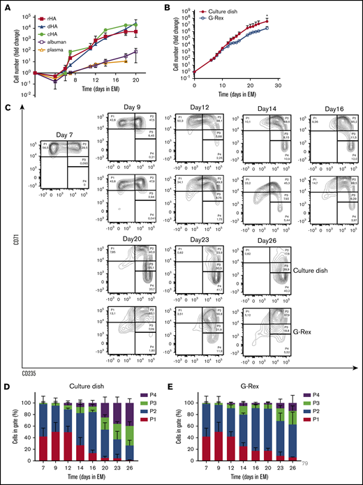 Efficient expansion of erythroblasts in plasma/serum-free GMP-grade medium. (A) PBMC were cultured toward erythroblasts in GMP-grade medium supplemented with EPO, SCF, and Dex (EM) for 26 days. Medium was prepared using either cHA, dHA, rHA, Albuman, or plasma. Cell counts at day 0 were normalized to 1 PBMC at the start of culture. Cultures were kept at 0.7 to 2 × 106 by dilution. Symbols indicate mean fold-change at any day compared with 1 PBMC seeded, error bars indicate standard deviation (SD) (n = 4). (B) PBMC from 4 independent donors were cultured from PBMC in Cellquin medium (cHA) supplemented with EPO (2 U/mL), SCF (100 ng/mL), and Dex (1 μM) in culture dishes until a pure erythroblast population was obtained (at day 7). Erythroblasts were further expanded in a G-Rex bioreactor or in culture dishes. Mean fold-change (± SD) was calculated and compared (2-way analysis of variance, *P < .05; n = 4). (C) Representative density plots indicating cell surface expression levels of CD71 and CD235 in cultures as described in panel B. Quadrants are labeled (P1-P4) and relative cell numbers per quadrant indicated as (D-E) percentage quantification of percentages per quadrant in dot blots similar to those shown in panel C. Error bars indicate SD (n = 4). (D) Cells cultured in dishes. (E) Cells cultured in G-Rex.