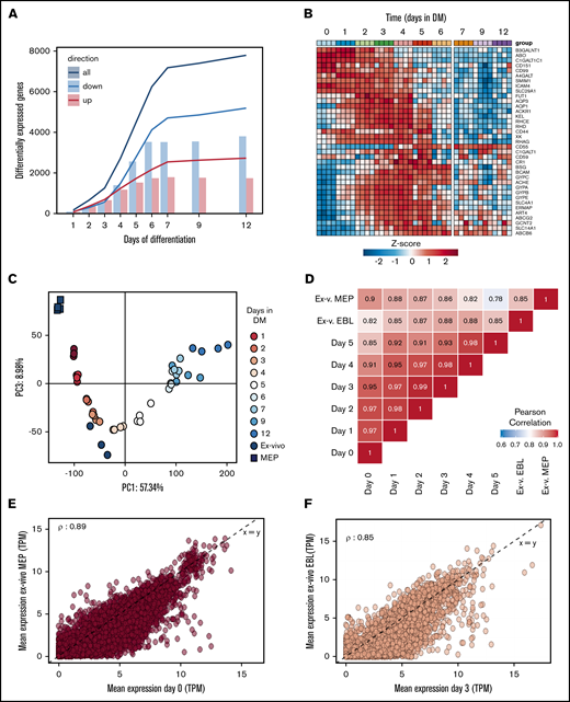 RNA expression profiles during in vitro erythroid differentiation are similar to ex vivo isolated erythroid precursors. RNA was isolated at subsequent days of differentiation to identify changes in the transcriptome (4 independent donors). (A) Bars represent the number of transcripts that are up- (red) or downregulated (blue) each day in reference to the start of the culture (false discovery rate <0.01 and log fold change >2, or <−2). Lines reflect cumulative number of unique genes differentially expressed over the time course. (B) Heatmap of z-transformed expression values (log2-CPM) for all genes encoding for blood group antigens and or blood group bearing moieties. (C) The transcriptome of MEP (black squares) and CD71highCD235high erythroblasts (black circles) isolated from bone marrow was compared with the transcriptome of differentiating cRBC using principle component analysis (PC1 vs PC3). (D) A Pearson correlation matrix of all samples used in panels A-C. Mean transcript levels (transcripts per million mapped reads) were compared between MEP and cRBC d0 (E) and between freshly isolated erythroblasts and cRBC d3 (F).