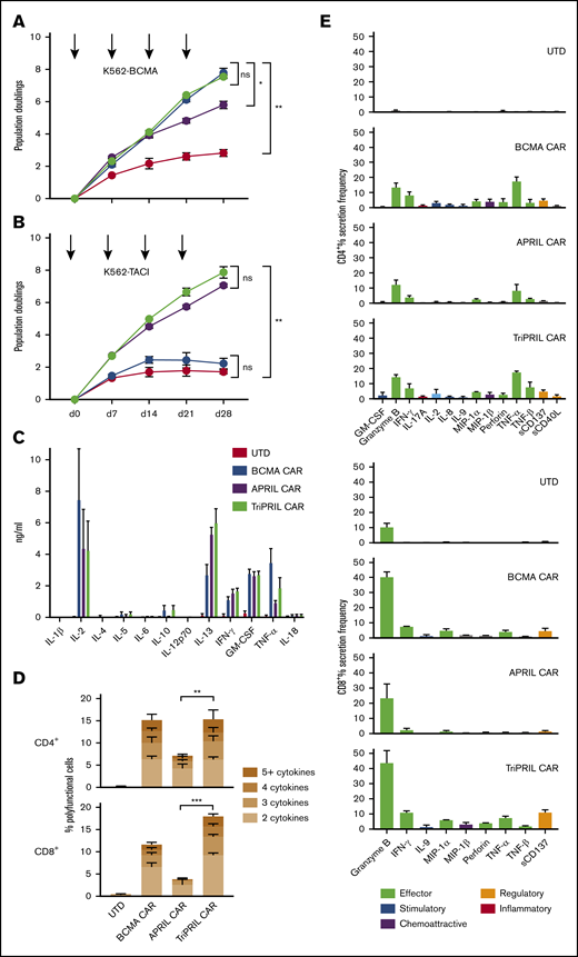 Long-term proliferation and cytokine production of MM CARTs. (A-B) Growth curves of thawed UTDs and BCMA, APRIL, and TriPRIL CARTs in vitro during repeated antigen stimulation (arrows) with irradiated K562 cells expressing either BCMA (A) or TACI (B). Results are displayed as mean population doublings ± SEM of 3 normal donors. (C) Levels of cytokines in supernatants of UTDs, and BCMA, APRIL, and TriPRIL CARTs after overnight coculture with human MM.1S myeloma cells at a 1:1 E:T ratio. Cytokines were measured by 12-plex Luminex assay in technical duplicates. Bars show the mean ± SEM of 3 normal donors. (D-E) Single-cell cytokine profiles of UTDs and BCMA, APRIL, and TriPRIL CARTs stimulated with BCMA- and TACI-expressing target cells captured by 32-plex antibody barcoded chip. Percentage of polyfunctional (≥2 cytokines) CD4+ and CD8+ T cells (D) and protein secretion of CD4+ and CD8+ T cells (E) across functional groups (effector, stimulatory, chemoattractive, regulatory, and inflammatory, as indicated). Bars show the mean ± SEM of 3 normal donors. ns, P ≥ .05; *P < .05 **P < .01; ***P < .001 by 2-way analysis of variance (ANOVA).
