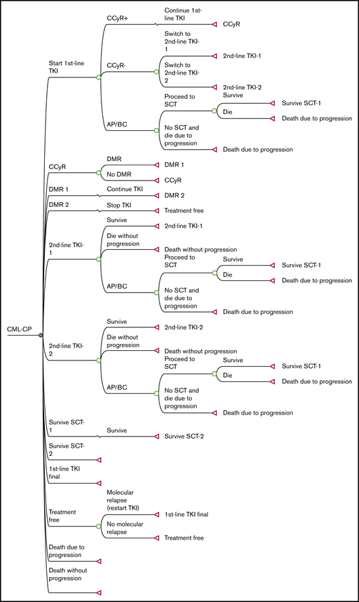 Simplified decision tree common to all 4 strategies. AP, accelerated phase; BC, blastic crisis; CCyR, complete cytogenetic response; SCT, stem cell transplantation.