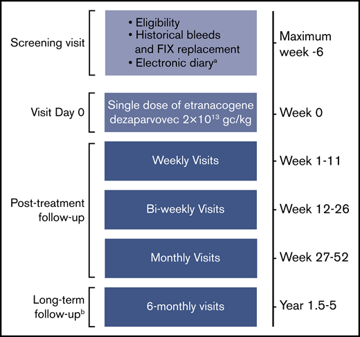 Study design.aRecording of bleeds and FIX replacement before, and after, etranacogene dezaparvovec treatment. Assessment of bleeds and FIX replacement before screening were based on medical records. bNo e-diary recording during long-term follow-up.