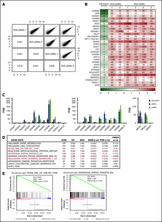 Molecular characterization of N5A AMKL. (A) Scatterplots showing pairwise correlation of gene expression values (log FPKM, RNAseq) between N5A AMKL derived from pediatric patients and xenograft models (N5A pAMKL and xAMKL, respectively). For each scatterplot the Pearson correlation coefficients (r) are indicated in mirroring cells. The red diagonal line represents a perfect correlation (r = 1.0). (B) Top 30 genes differentially expressed by at least 10-fold in a sampling of BM cells derived from 2 patients and 4 xenograft models presenting N5A AMKL, as compared with normal CB-CD34+ cells (n = 4). Genes with expression values of ≥10 FPKM for all N5A AMKL samples and fold changes ≥10 compared with CB-CD34+ samples are displayed (see supplemental Figure 7 for the complete list). The indicated FPKM values are represented by a logarithmic color scale (log10). (C) Expression of HOXA/HOXB cluster and MEIS genes in N5A AMKL samples derived from patients (n = 2) and xenograft models (n = 4) compared with control CB-CD34+ cells (n = 4). Values are presented as the mean ± SEM. (D) Top 10 ranked gene sets in the GSEA of genes upregulated in N5A AMKL patients and xenograft models compared with CB-CD34+ samples. Enrichment plots for selected gene sets (in red) are depicted in panel E and in supplemental Figure 6.