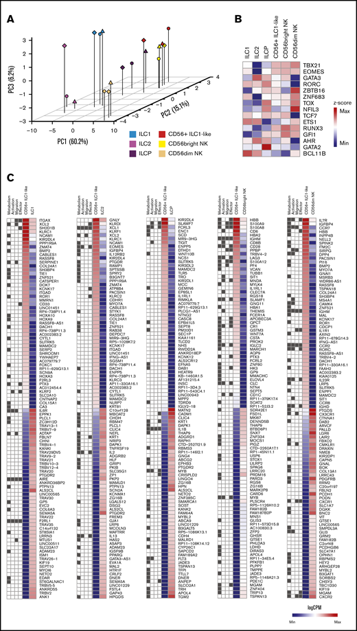 Transcriptomic signature of ex vivo CD56+ILC1-like cells in peripheral blood from HDs. (A) Principal component analysis (PCA) of ex vivo fluorescence-activated cell–sorted ILC and NK subsets from HDs peripheral blood (n = 3). (B) Heat map of z scores of the expression levels of genes encoding ILC/NK transcription factors (n = 3). (C) Heat map of log counts per million (CPM) of the 100 most differentially expressed genes between CD56+ ILC1-like cells and ILC1, ILC2, ILCP, CD56bright NKs or CD56dim NKs. The GO pathway to which each gene belongs is represented at the left of each heat map: Metabolic process GO0008152 (“Metabolism"); Lymphocyte activation GO0046649 (“Activation”); Leukocyte migration GO0050900 (“Migration”); Immune effector process GO0002252 (“Effector”). Max, maximum; Min, minimum.