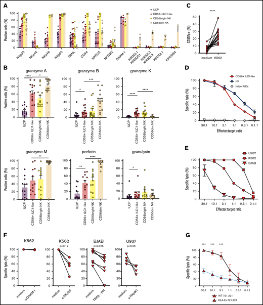 CD56+ILC1-like cells are cytotoxic effectors regulated by the NKp30, NKp80, TRAIL, and HLA-E pathways. (A) Extracellular flow cytometry analysis of NK receptor expression in ILCP, CD56+ ILC1-like cells, and cNKs (n = 4-18). (B) Intracellular flow cytometry was performed using HD PBMCs to assess CD56+ ILC1-like cell production of granzyme A (n = 15), granzyme B (n = 15), granzyme K (n = 12), granzyme M (n = 12), perforin (n = 12), and granulysin (n = 12). (C) Extracellular flow cytometry was performed after a 4-hour coculture of ILC/NK-enriched PBMCs with K562 (ratio E:T 1:1), anti-CD107a, and Golgistop to assess CD56+ ILC1-like cell degranulation (n = 16). (D) Specific lysis of the K562 tumor cell line by CD56+ ILC1-like cells, cNKs, and helper ILCs (results in duplicate). (E) Specific lysis of the U937, K562, and BJAB tumor cell lines by CD56+ ILC1-like cells (results in duplicate). (F) Specific lysis by CD56+ ILC1-like cells of K562 (ratio E:T 20:1), BJAB (ratio E:T 20:1), and U937 (ratio E:T 10:1) tumor cell lines in the presence of anti-DNAM-1, anti-NKp30, and anti-NKp80 blocking antibodies or TRAIL decoy receptor. (G) Specific lysis of wild-type (WT) or HLA-E–transfected 721.221 tumor cell lines by CD56+ ILC1-like cells (results in triplicate). One dot = 1 donor. Statistical tests used for analyses: panel B: Mann-Whitney unpaired U test; panel C: Wilcoxon paired t test, panel G: multiple Holm-Sidak t tests. *P < .05, **P < .01, ***P < .001, ****P < .0001.