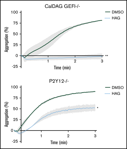 HAG abolishes P2Y12-dependent signaling but only partially inhibits CalDAG GEFI-dependent signaling in mouse platelets. Washed mouse platelets lacking CalDAG GEFI (A) or P2Y12 (B) were pretreated with 10 μM HAG or DMSO for 30 minutes at room temperature and stimulated with 1.25 μg/mL convulxin. Aggregation was observed for 3 minutes (panel A, **P < .007 for HAG vs DMSO; panel B, *P < .05 for HAG vs DMSO, n = 4 for each group).