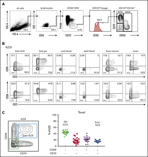 Flow cytometric analysis of ectoenzyme expression on ILC across different tissues. (A) Gating strategy for flow cytometric analysis of human ILC from healthy peripheral blood, with ILC defined as: Lin− (CD1a, CD3, CD4, CD8, CD14, CD16, CD19, CD34, CD94, CD123, BDCA2, FcεRI, TCRαβ, TCRγδ), CD45+ CD127+CD161+ cells. From this population, CRTH2+ cells define ILC2; CRTH2−CD117−NKp44− cells define ILC1, and CD117+ cells define ILC3. (B) CD39-CD73 and CD38-CD73 expression by ILC3 freshly isolated from fetal intestine and mLNs, cord blood, adult peripheral blood, healthy bone marrow, and tonsils. Contour plots are representative of 2 to 3 independent experiments. (C) Contour plot showing CD39−CD73− (DN) ILC3 and CD39+CD73+ (ecto+) ILC3 gating in tonsils, and the bar graph shows the frequency of CD39 and CD73 on total tonsillar ILC3 (n = 25); each symbol represents an individual donor, error bars show the standard error of the mean (SEM), and the horizontal lines represent the mean.