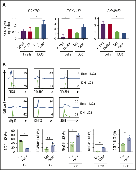 Phenotypical differences. (A) P2X7R, P2Y11R, and Ado2aR relative gene expression by tonsillar CD39−CD73− (DN) ILC3, CD39+CD73+ (ecto+) ILC3, CD4+CD39− T cells, and CD4+CD39+ T cells. Data are normalized to the expression of GAPDH. Data are presented as mean ± SEM. *P < .05. Data are summarized from or representative of 3 to 4 independent experiments. (B) Representative flow cytometric analysis of CD25, CD45RO, CD45RA, NKp44, CD103, and CD69 on ecto+ ILC3 (blue line) and DN ILC3 (green line). Horizontal line represents isotype control. Quantification is shown in the lower panel. Data are representative of as individual values of 3 to 4 independent experiments; *P < .05 by Student t test.