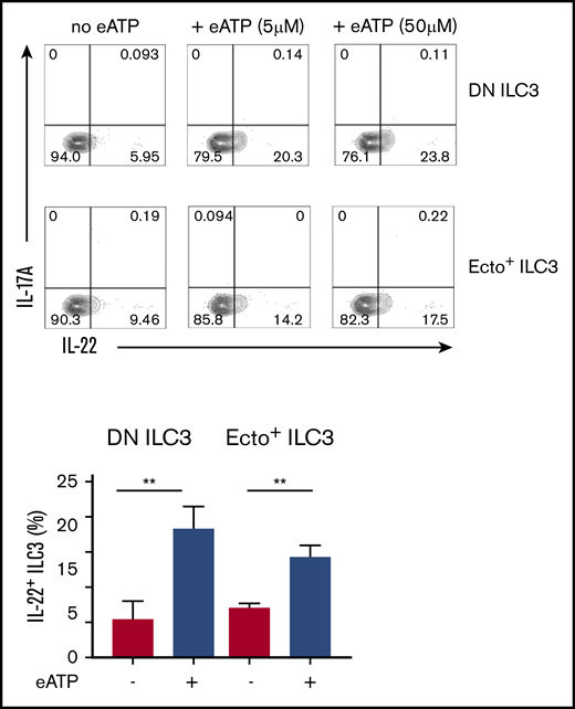 Effects of extracellular (e)ATP. Representative flow cytometric analysis (upper panel) and quantification (lower panel) of intracellular IL-22-producing DN ILC3 and ecto+ ILC3, on 3 days exposure to eATP. Data are presented as mean ± SEM; **P < .01 as determined by Student t test. Data are summarized from 3-4 independent experiments.