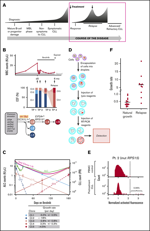 (A) Clonal dynamics in the setting of therapeutic resistance. (B) WES of serial blood samples allows phylogenetic tree inferences, which highlight the presence of small subclonal populations driving relapse to ibrutinib therapy. (C) Clonal kinetics during ibrutinib treatment. Filled circles are measurements combining clonal fractions and absolute lymphocyte counts; empty circles are upper-bound estimates (1% of total CLL cells) for clones below the limit of detection; solid lines signify predicted kinetics for clones with 2 or more measurements; and dashed lines denote kinetics with minimal absolute growth rates for clones with only one measurement. (D) Droplet-based detection of resistance subclones at the time of treatment initiation. (E) Detection of RPS15-mutant specific single cells in pretreatment CLL samples as compared with a peripheral blood mononuclear cell control, using droplet-based single-cell detection. (F) Growth rates of relapsed CLL clones are several-fold higher than those of untreated CLLs.1,64,65 Reprinted from Burger et al64 with permission.