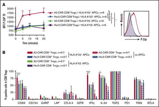 A2-CAR CD8+ Tregs are specifically activated through the CAR. (A-B) A2-CAR and Her2-CAR CD8+ Tregs were cultured with allogeneic APCs expressing or not HLA-A*02 at a ratio of 1:1 and then analyzed for activation markers. (A) CAR-Tregs were cocultured with APCs for 5 to 20 minutes and fixed and stained for phosphorylated Zap70, as revealed by mean fluorescence intensity. Time 0 corresponds to no contact with APCs. n = 5 for each group. (Left) Mean ± SEM. (Right) Representative staining. Two-way RM ANOVA test and Bonferroni posttest, *P < .05; **P < .01. (B) Cells were cocultured for 24 hours in the presence of brefeldin A for the last 4 hours, and analyzed by flow cytometry for activation markers and cytokines expression. Unstimulated Tregs (Tregs with no APCs) are shown as basal control. Percentage of CAR CD8+ Tregs expressing the marker is shown. n = 3-7 for each group. Mean ± SEM are represented. Mann-Whitney U test, *P < .05; ****P < .0001.