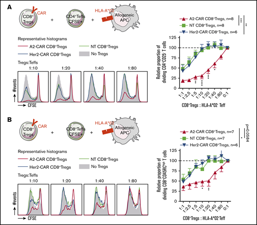 Conferring HLA-A*02 specificity to CD8+ Tregs improves their suppressive capacity on a HLA-A*02-mismatched proliferation in vitro. A2-CAR, Her2-CAR, and NT CD8+ Tregs were tested in a range of ratios to CD4+ (A) or CD8+ (B) Teffs stimulated by allogeneic HLA-A*02+ APCs. (Upper left) Schematic depicting cells cocultured and expression of HLA-A*02 target on cells. (Lower left) Representative histograms of CFSE profile in Teffs at day 5 of culture in the absence (filled gray) or in presence of A2-CAR (red line), Her2-CAR (blue line), or nontransduced (green line) CD8+ Tregs in a range of ratio Tregs:Teffs. (Right) Relative proportion of proliferating Teff cells normalized to proliferation in the absence of Tregs, in a range of Tregs:Teffs ratios. n = 6-8, as indicated on each figure. Means ± SEM are represented. Two-way RM ANOVA test and Bonferroni posttest, *P < .05; **P < .01; ***P < .001.