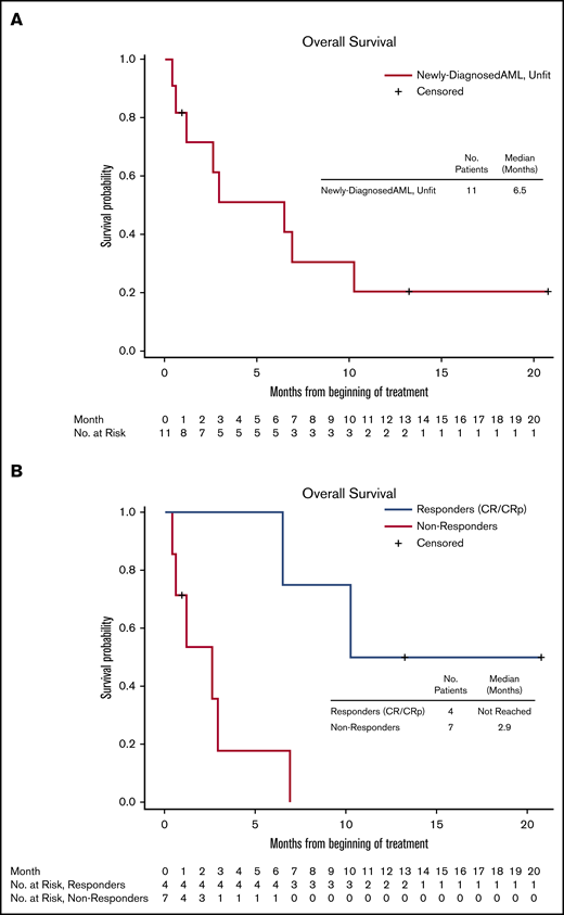 OS of newly diagnosed patients with AML (de novo and secondary to MDS), unfit for standard therapy. (A) All patients. (B) Responders (CR/CRp) and nonresponders.