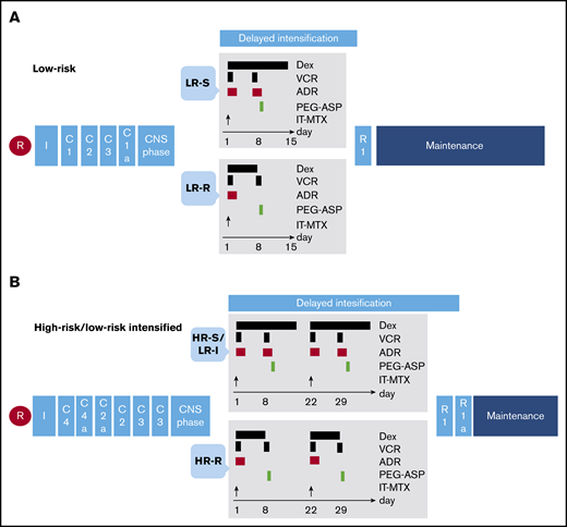 Treatment diagrams for all study patients of CoALL 07-03 treated according to the low- and high-risk arms. (A) Treatment overview for low-risk therapy in CoALL 07-03. (B) Treatment overview for high-risk therapy in CoALL 07-03. ADR, doxorubicin (30 mg/m2); C1, methotrexate (1 g/m2)/Escherichia coli–derived asparaginase (45 000 IE/m2)/6-MP (100 mg/m2 per day)/IT-MTX (age-dependent dose); C1a, methotrexate (1 g/m2)/pegylated asparaginase (2500 IE/m2)/6-MP (100 mg/m2 per day)/IT-MTX (age-dependent dose); C2, methotrexate (1 g/m2)/teniposide (VM26) (165 mg/m2)/cytarabine (300 mg/m2)/6-thioguanine (100 mg/m2 per day)/IT-MTX (age-dependent dose); C2a, methotrexate (1 g/m2)/teniposide (VM26) (165 mg/m2)/cytarabine (300 mg/m2)/6-MP (100 mg/m2 per day)/IT-MTX (age-dependent dose); C3, high-dose cytarabine (4 × 3 g/m2)/pegylated asparaginase (2500 IE/m2); C4, cyclophosphamide (900 mg/m2)/methotrexate (1 g/m2)/E coli–derived asparaginase (45 000 IE/m2)/IT-MTX (age-dependent dose); C4a, cyclophosphamide (900 mg/m2)/methotrexate (1 g/m2)/E coli–derived asparaginase (45 000 IE/m2)/6-MP (100 mg/m2 per day)/IT-MTX (age-dependent dose); Dex, dexamethasone (10 mg/m2 per day); I, induction; PEG-ASP, pegylated asparaginase (2500 IE/m2); R, randomization; R1, cyclophosphamide (900 mg/m2)/cytarabine (4 × 90 mg/m2)/6-thioguanine (100 mg/m2 per day)/IT-MTX (age-dependent dose); R1a, cyclophosphamide (900 mg/m2)/cytarabine (4 × 90 mg/m2)/6-thioguanine (100 mg/m2 per day); VCR, vincristine (1.5 mg/m2).